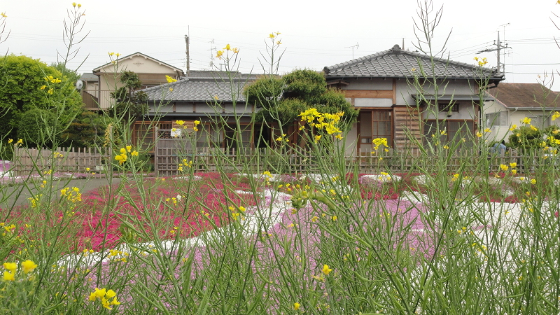 img0002.jpg