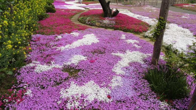 img0006.jpg