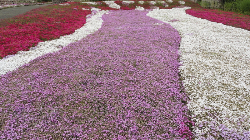 img0020.jpg