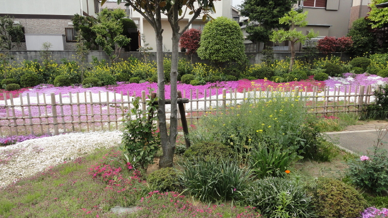 img0028.jpg