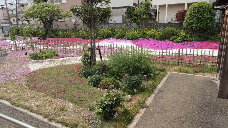 img0042.jpg