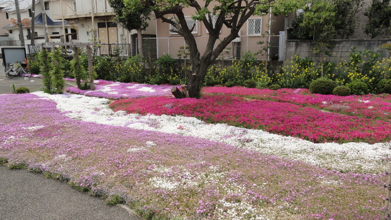 img0045.jpg