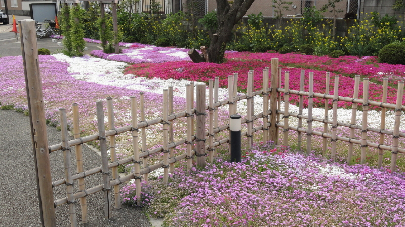 img0046.jpg