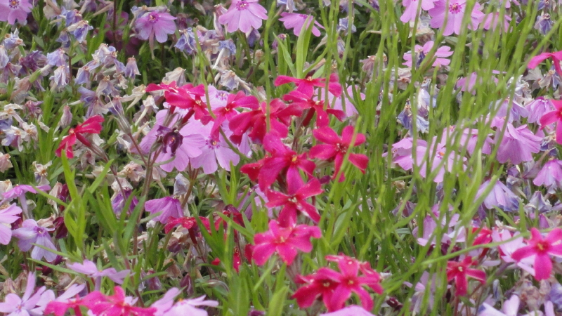 img0047.jpg