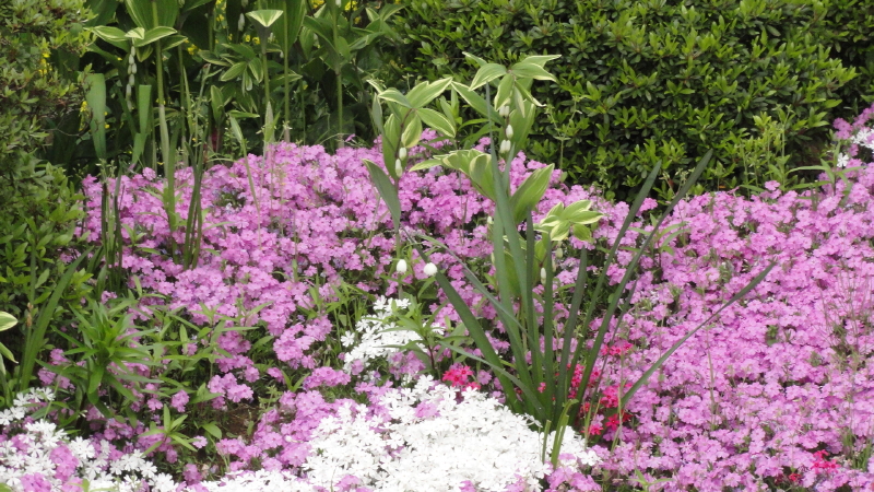 img0064.jpg
