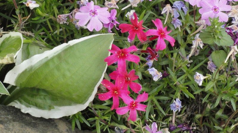 img0069.jpg