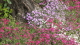 img0018.jpg