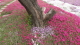 img0019.jpg