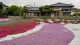 img0023.jpg