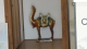 img0032.jpg