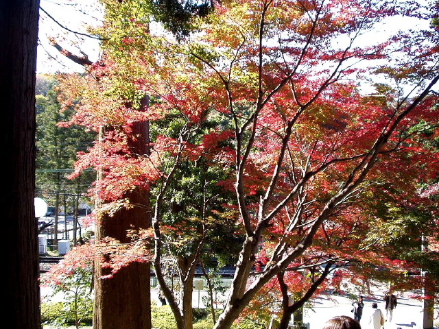 img0000.jpg