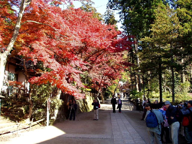 img0005.jpg