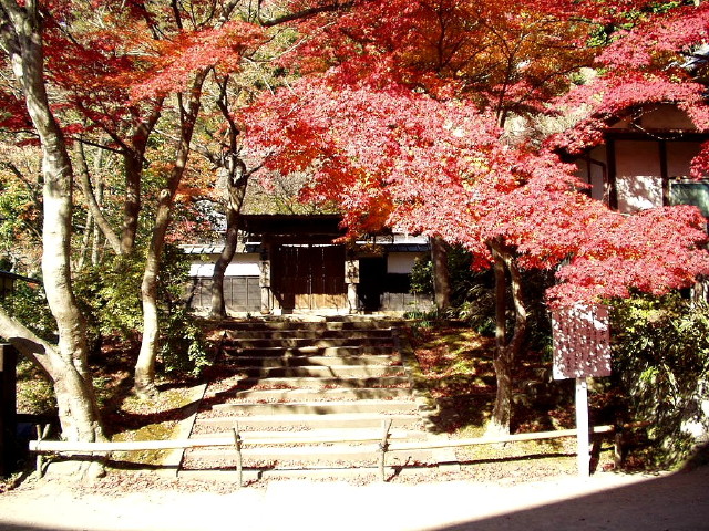 img0006.jpg