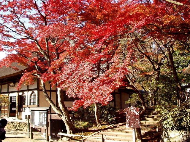 img0007.jpg