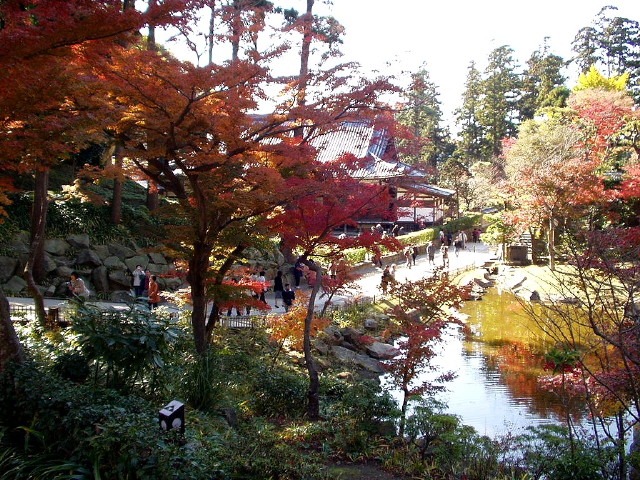 img0010.jpg