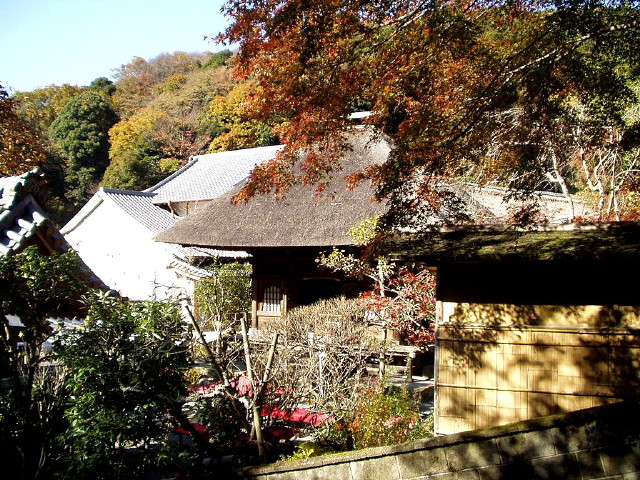img0012.jpg