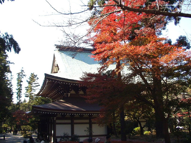 img0013.jpg
