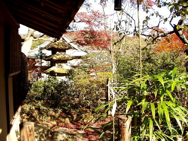 img0015.jpg
