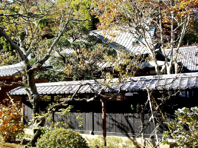 img0016.jpg