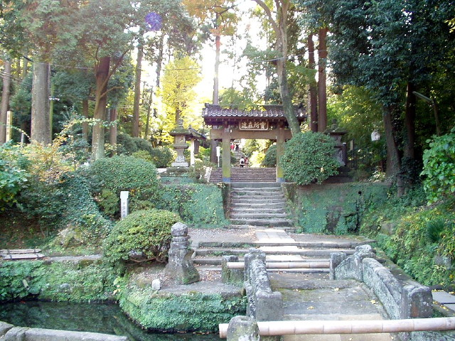 img0017.jpg