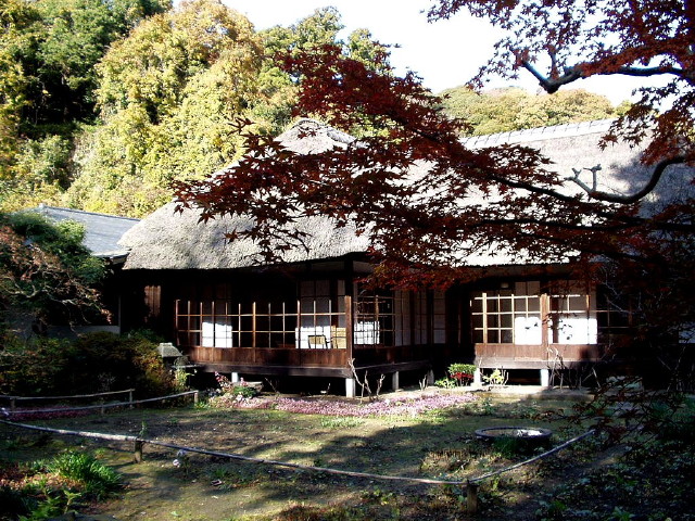 img0021.jpg