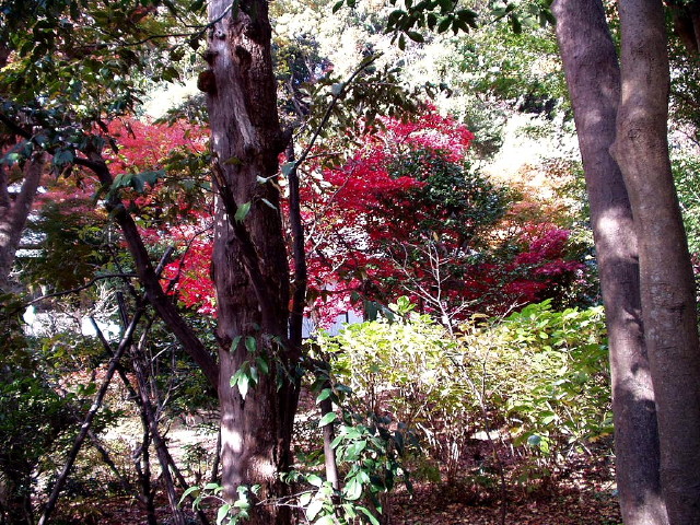 img0025.jpg