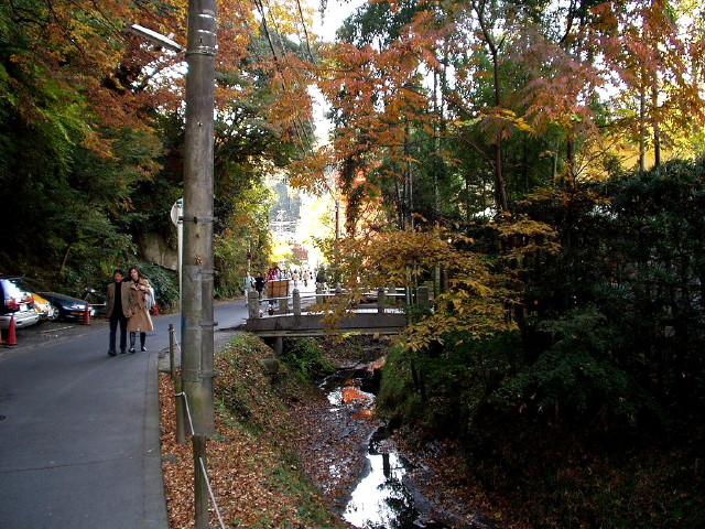 img0028.jpg