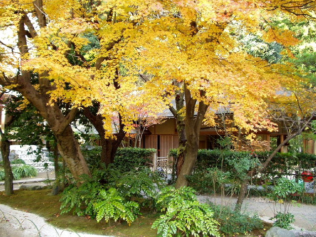 img0033.jpg