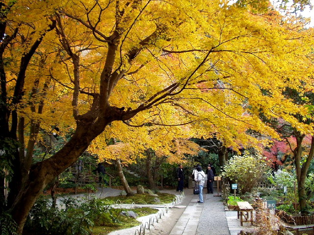 img0035.jpg
