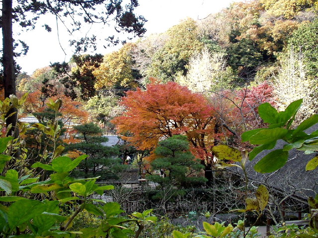 img0038.jpg