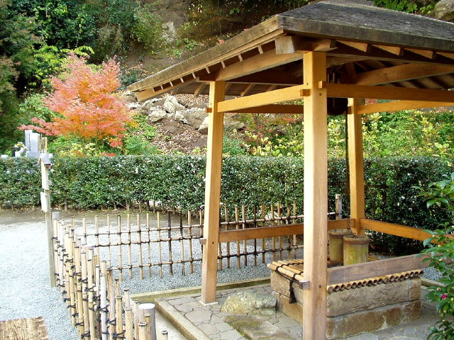 img0042.jpg