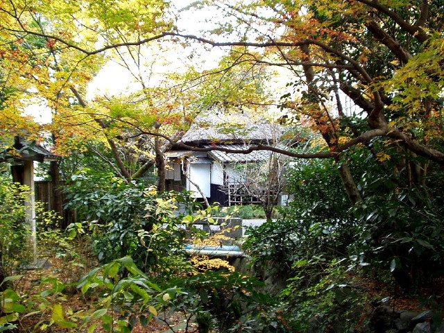 img0043.jpg