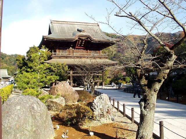 img0045.jpg