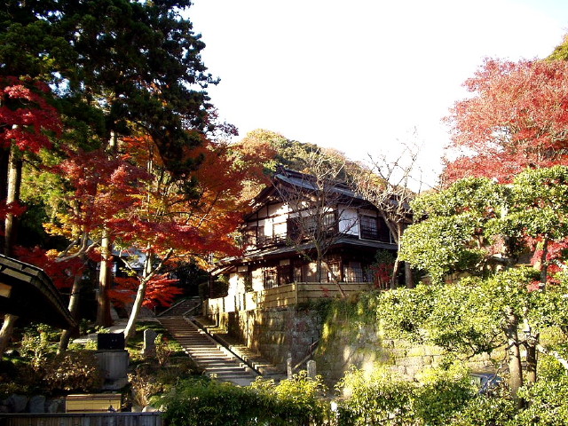 img0049.jpg
