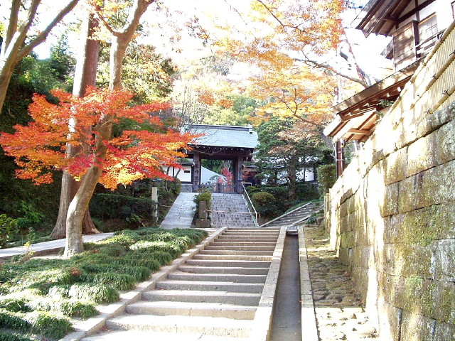 img0050.jpg