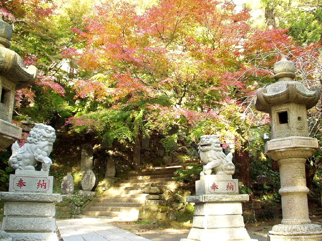 img0052.jpg
