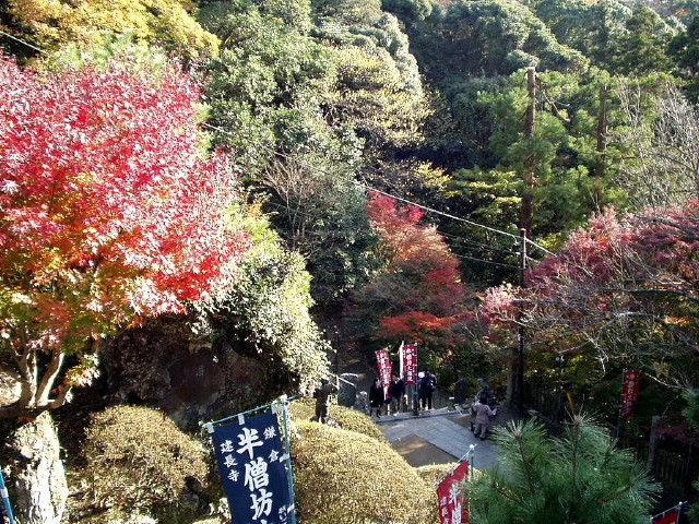 img0055.jpg