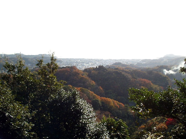 img0056.jpg