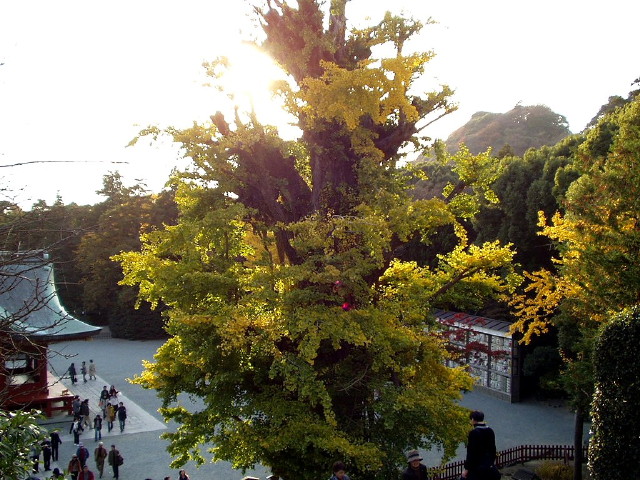img0059.jpg