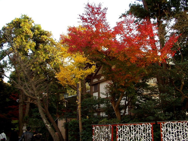 img0062.jpg