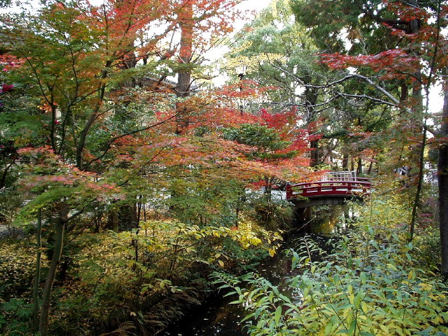 img0064.jpg