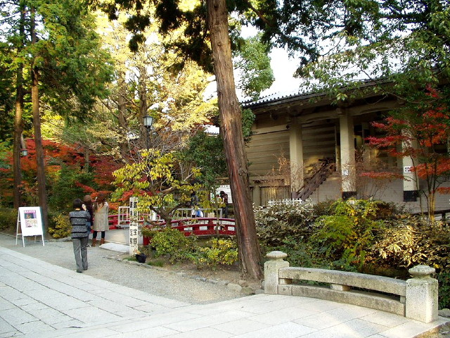 img0065.jpg