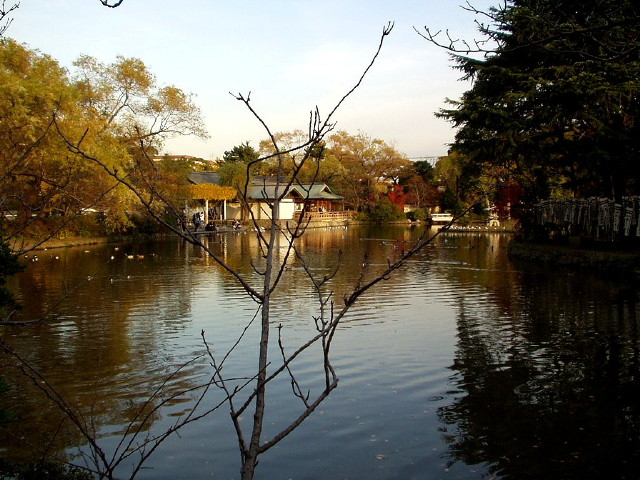 img0067.jpg