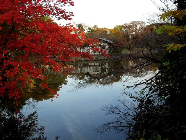 img0068.jpg