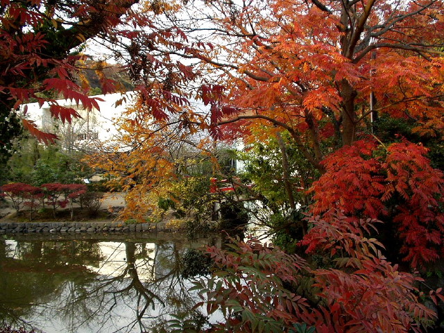 img0070.jpg