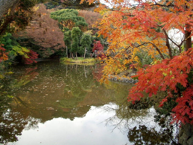 img0072.jpg
