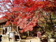 img0007.jpg