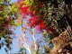 img0008.jpg