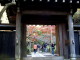 img0011.jpg