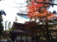img0013.jpg